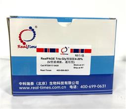 10%RealPAGE Tris-Glycine預制膠（塑料板） 11孔