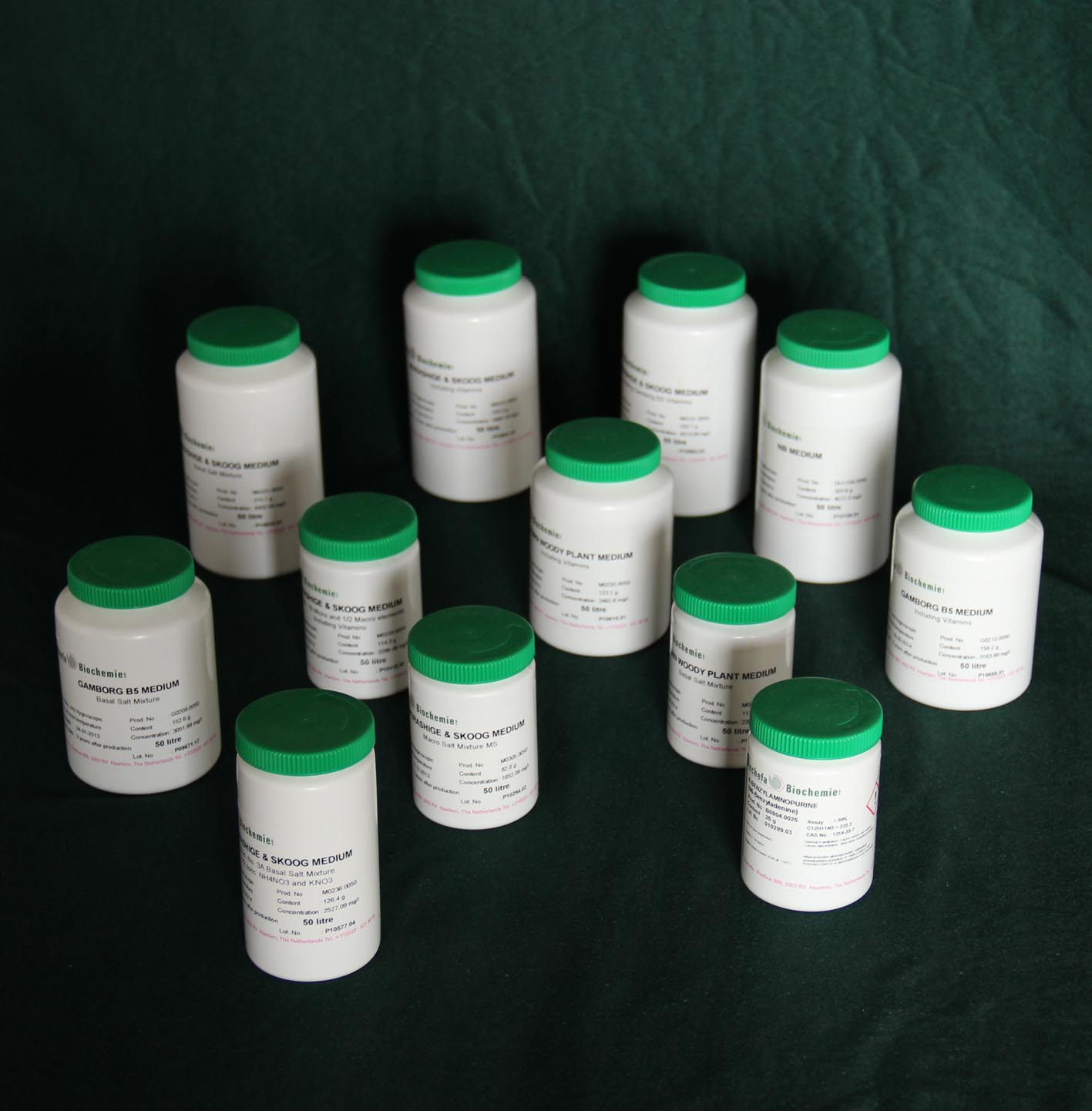 N6培養(yǎng)基 含維生素